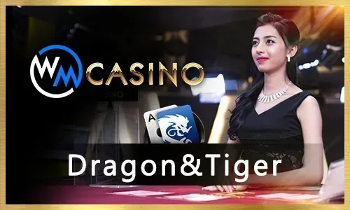 PH365 Live Casino